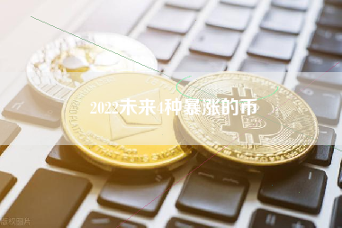 2022未来4种暴涨的币